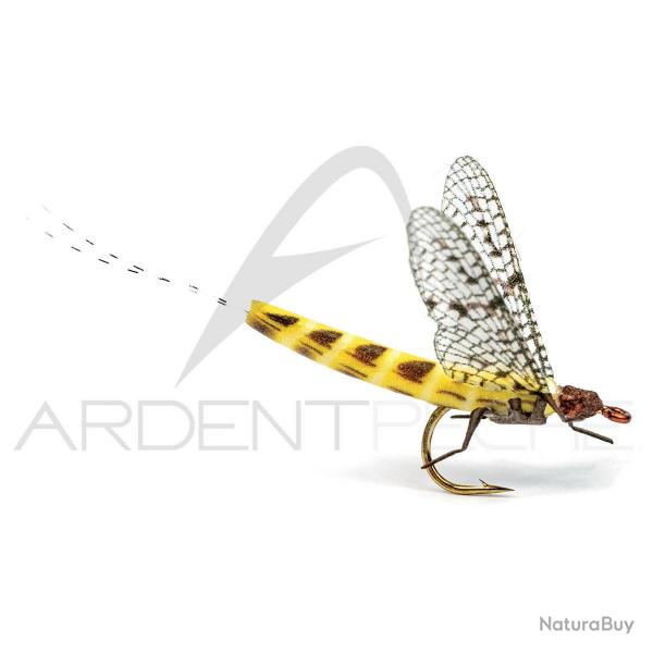 Mouche raliste Mayfly 2 Ephemera Danica H12