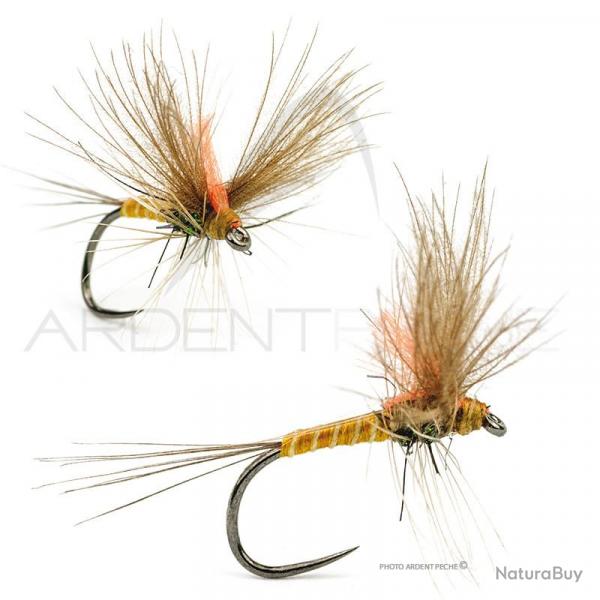 Mouche A.P. phmre Ignita H18