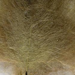 Cul de canard DEVAUX select OLIVE DUN