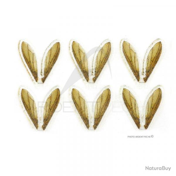 Ailes ralistes Bee Wings petites