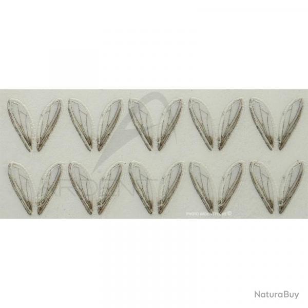 Ailes ralistes Bottle fly wings petites