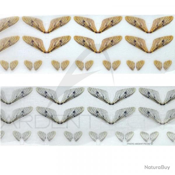 Ailes ralistes mouche de mai gris clair moyen