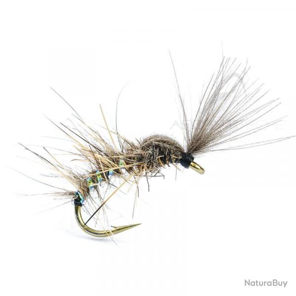 Mouche AB FLY Chironome Shut NA H14