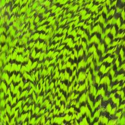 Demi selle de coq grizzly chartreuse