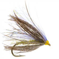 Mouche Igor et Nadica Stancev Peute olive H16