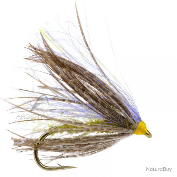 Mouche Igor et Nadica Stancev Peute olive H16