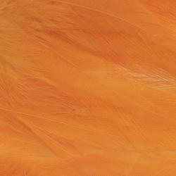 Plumes de saddle Fluo orange