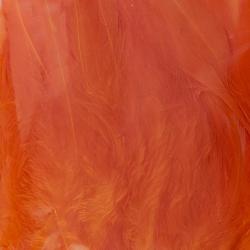 Plumes de saddle Hot orange