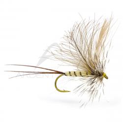 Mouche Igor et Nadica Stancev CDC hackle mayfly H10