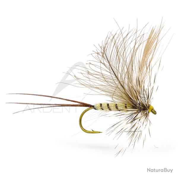 Mouche Igor et Nadica Stancev CDC hackle mayfly H10