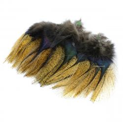 Plumes Pardo Florian Stephan grade 2 Flor d´escoba