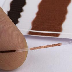 Pécari quill transparent 1 mm