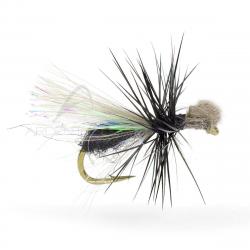 Mouche Igor et Nadica Stancev fourmi CDC loop H16
