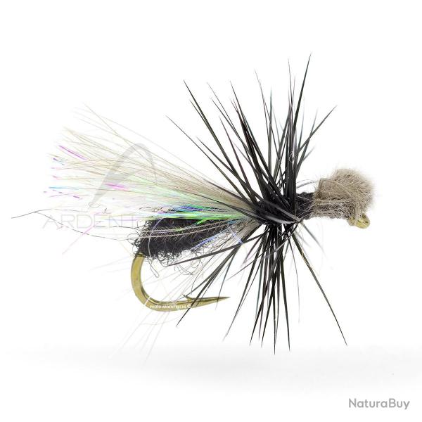 Mouche Igor et Nadica Stancev fourmi CDC loop H20