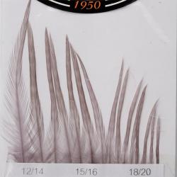 Hackles Génétic DEVAUX Gris A