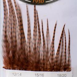 Hackles Génétic DEVAUX Grizzly Coachman