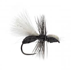 Mouche A.P. Fourmi CDC H14