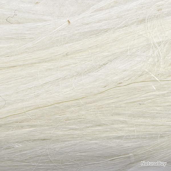 Chvre polaire Blanc
