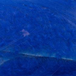 Chèvre polaire Fluo bleu