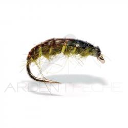 Mouche FMF nymphe Czech nymphe olive SM100 H10