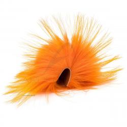 Tanuki Orange