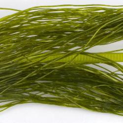 Life-Flex fin Olive