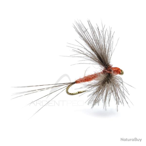 Mouche AB FLY Emergente SUB D OC H16