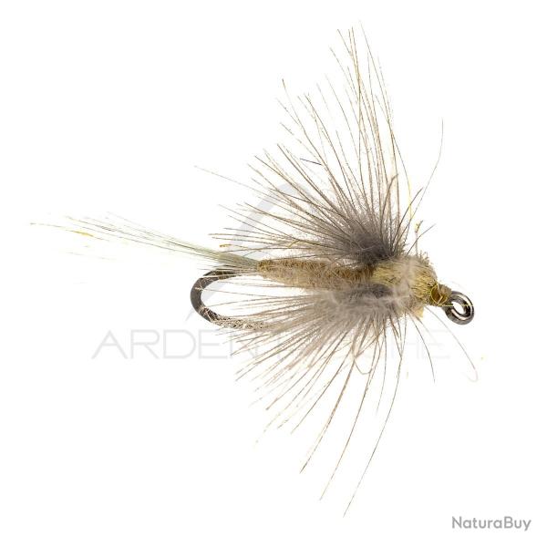 Mouche STS CDC crme H16