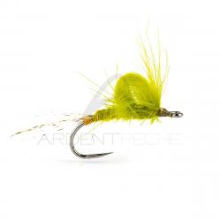 Mouche STS émergente de Mai olive H14