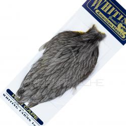 Cou de poule American Hackle gris foncé