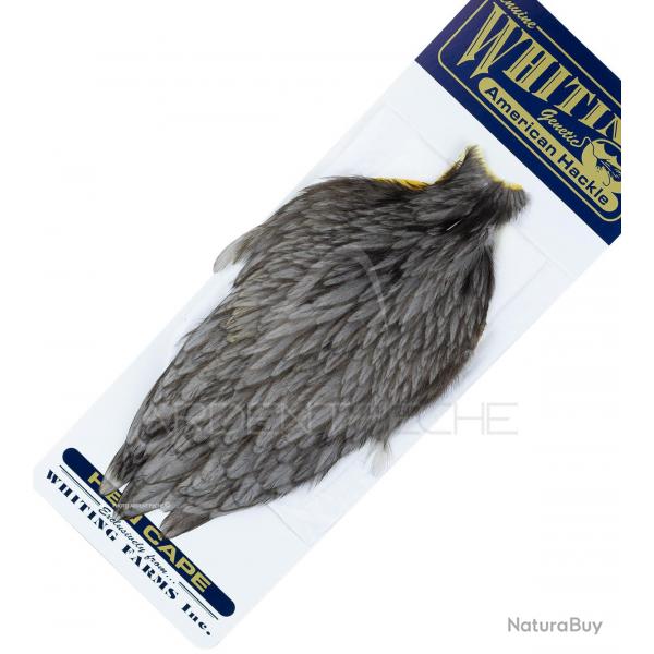 Cou de poule American Hackle gris fonc
