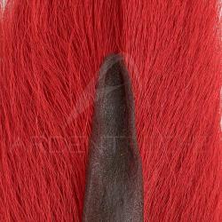Bucktail queue de daim Large rouge