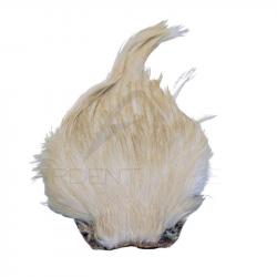 Cous de coq DEVAUX Top Grade Crème