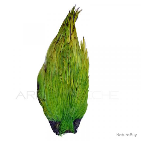 Cous de coq DEVAUX Top Grade Teint Olive