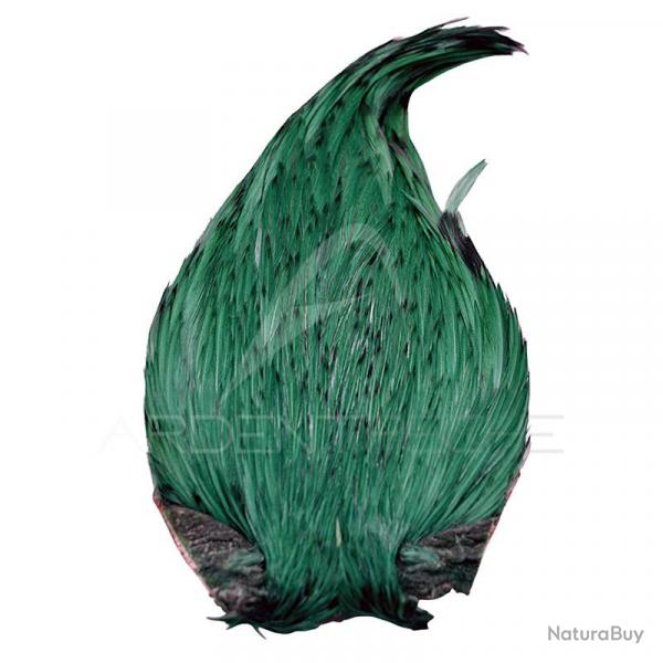 Cous de coq DEVAUX Top Grade Teint Vert meraude