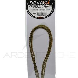 Lancettes de coq DEVAUX Top qualit&eacute; Grizzly olive