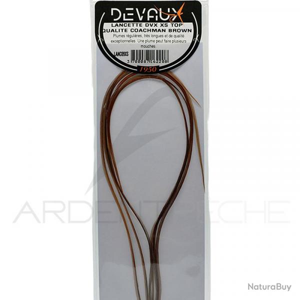 Lancettes de coq DEVAUX XS Top qualit Coachman brown