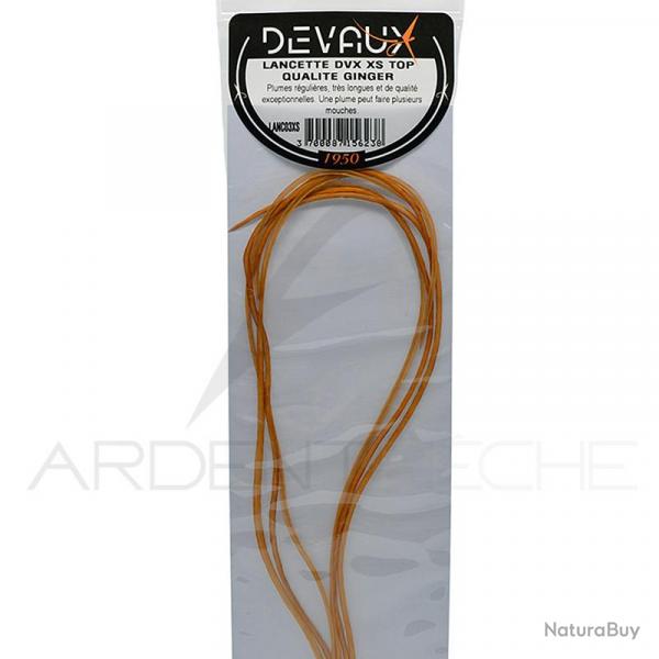 Lancettes de coq DEVAUX XS Top qualit Ginger