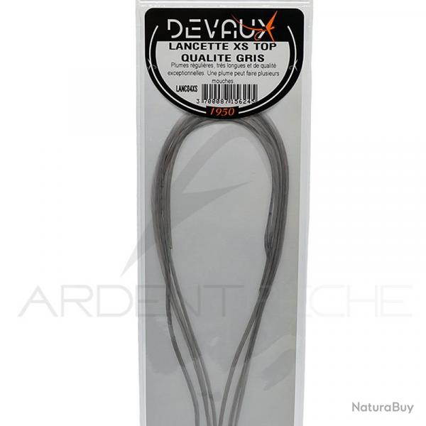 Lancettes de coq DEVAUX XS Top qualit gris