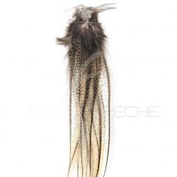Plumes DEVAUX Lancette Pardo claire