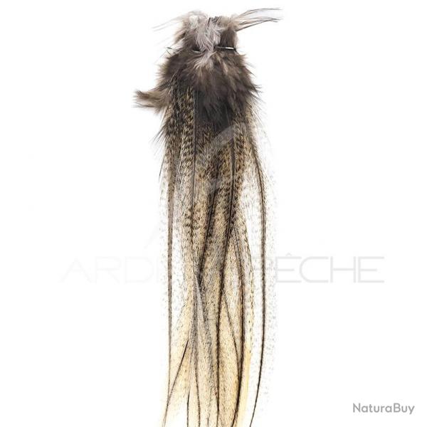 Plumes DEVAUX Lancette Pardo claire