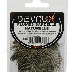 Sarcelle DEVAUX naturelle