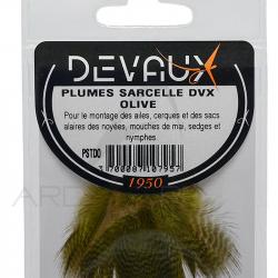 Sarcelle DEVAUX teinté olive