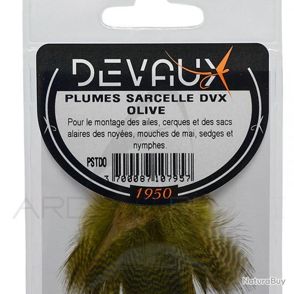 Sarcelle DEVAUX teint olive