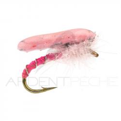Nymphe Alan Campbell SBN 061 rose H14