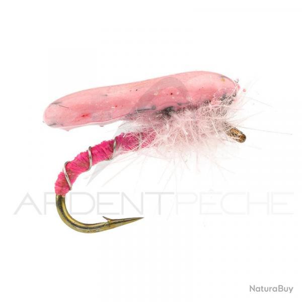 Nymphe Alan Campbell SBN 061 rose H14