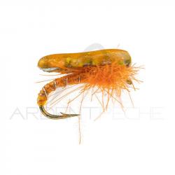 Nymphe Alan Campbell SBN 062 orange H14