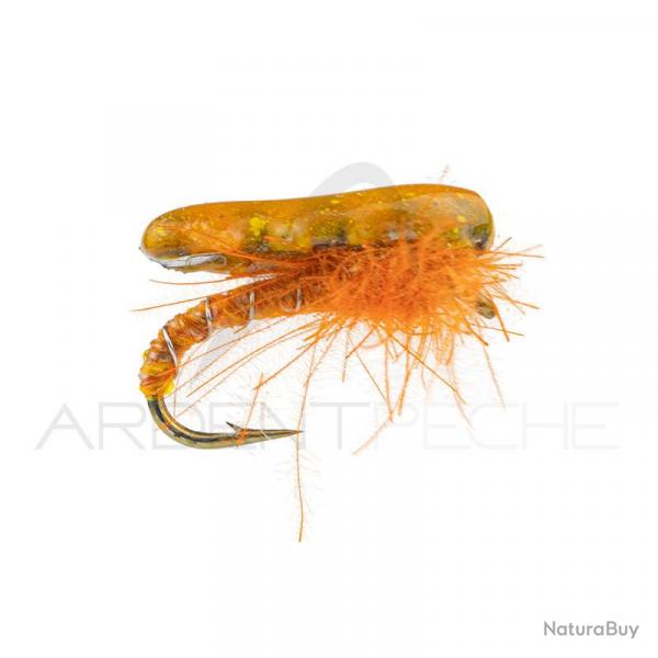 Nymphe Alan Campbell SBN 062 orange H16