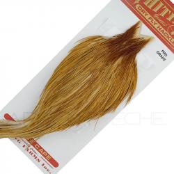 Cous de coq WHITING Pro grade Médium ginger