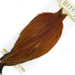 Cous de coq WHITING Heritage Hackle